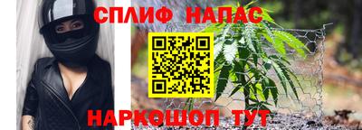 прущие крисы Шахты