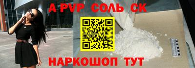 стафф Шелехов