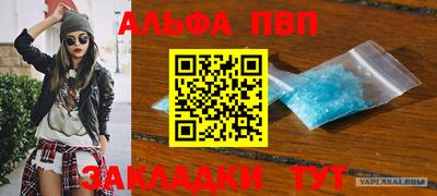 стафф Шелехов