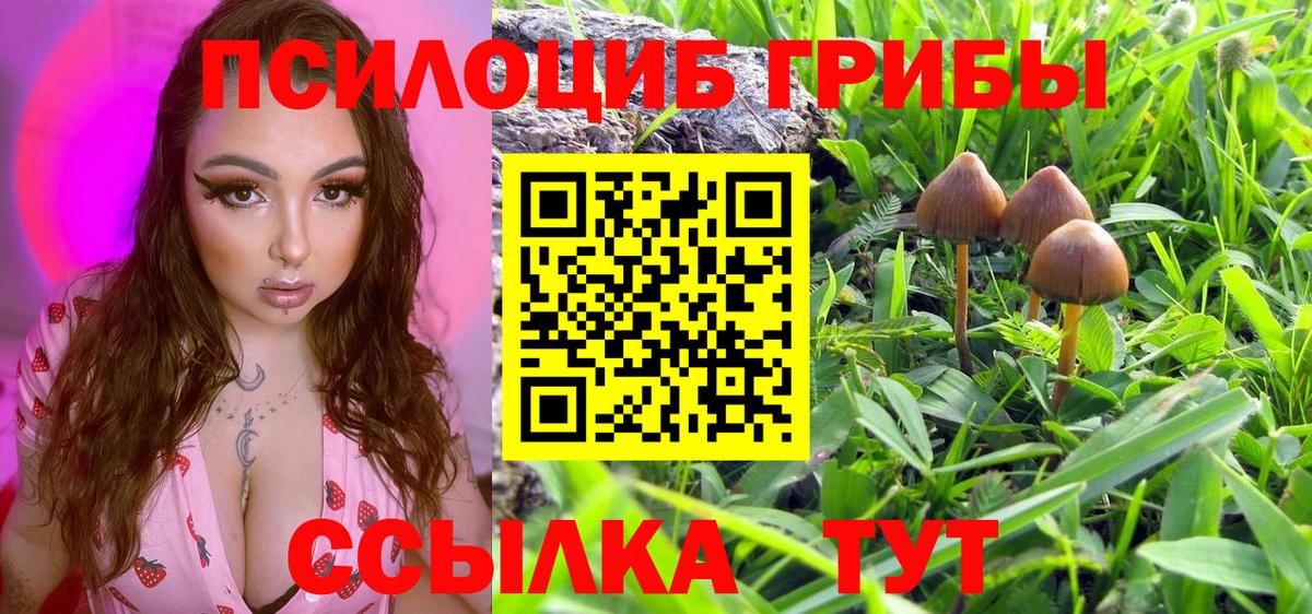 Галлюциногенные грибы Psilocybine cubensis  Вход с VPN  продажа наркотиков  Тольятти 